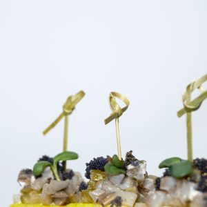 Su kapota silke ir marinuotais agurkais